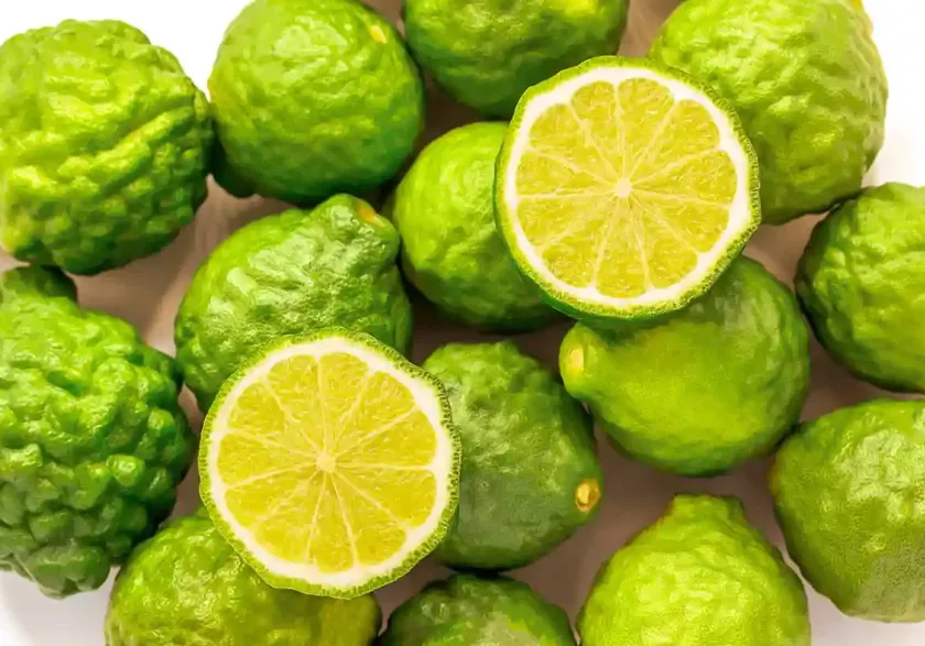 Top 10 chai nước hoa hương cam bergamot tươi mát nhẹ nhàng
