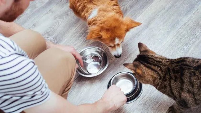 Top 35 quà sinh nhật tặng bố ý nghĩa và tạo bất ngờ khó quên