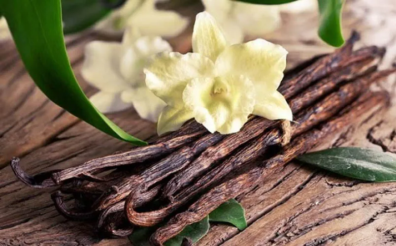 Top 9 tinh dầu nước hoa Pháp mùi nào rất thơm - 3