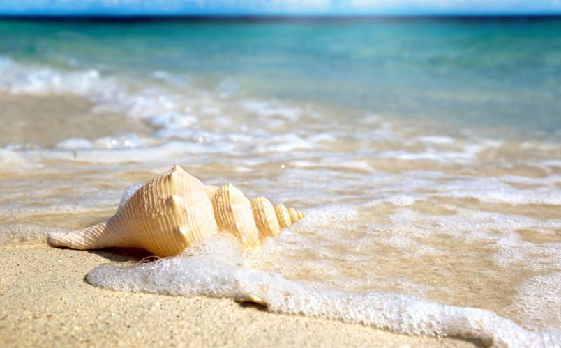 Top 9 tinh dầu nước hoa Pháp mùi nào rất thơm - 6