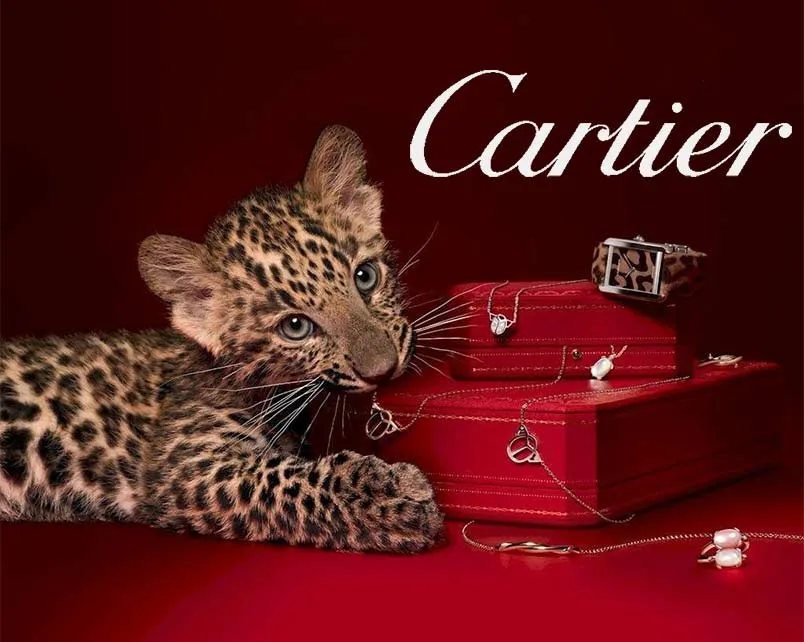 Vòng đeo tay Cartier chính hãng giá bao nhiêu, làm bằng gì?