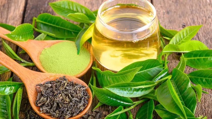 Mụn trên trán: Nguyên nhân và cách hỗ trợ cải thiện hiệu quả từ chuyên gia