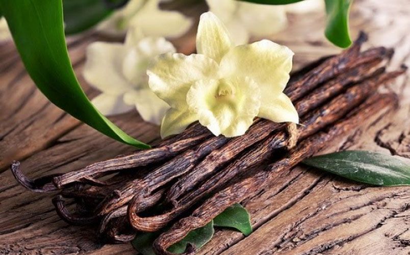 Bỏ túi 12 tinh dầu nước hoa Dubai nam mùi nào rất thơm