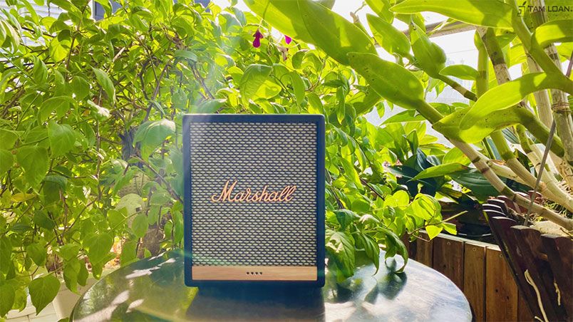 Top 15+ loa bluetooth Marshall chính hãng được mua nhiều