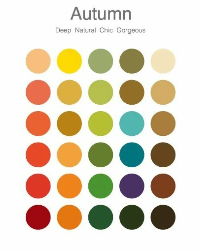 Bài test màu sắc cá nhân online giúp xác định personal color