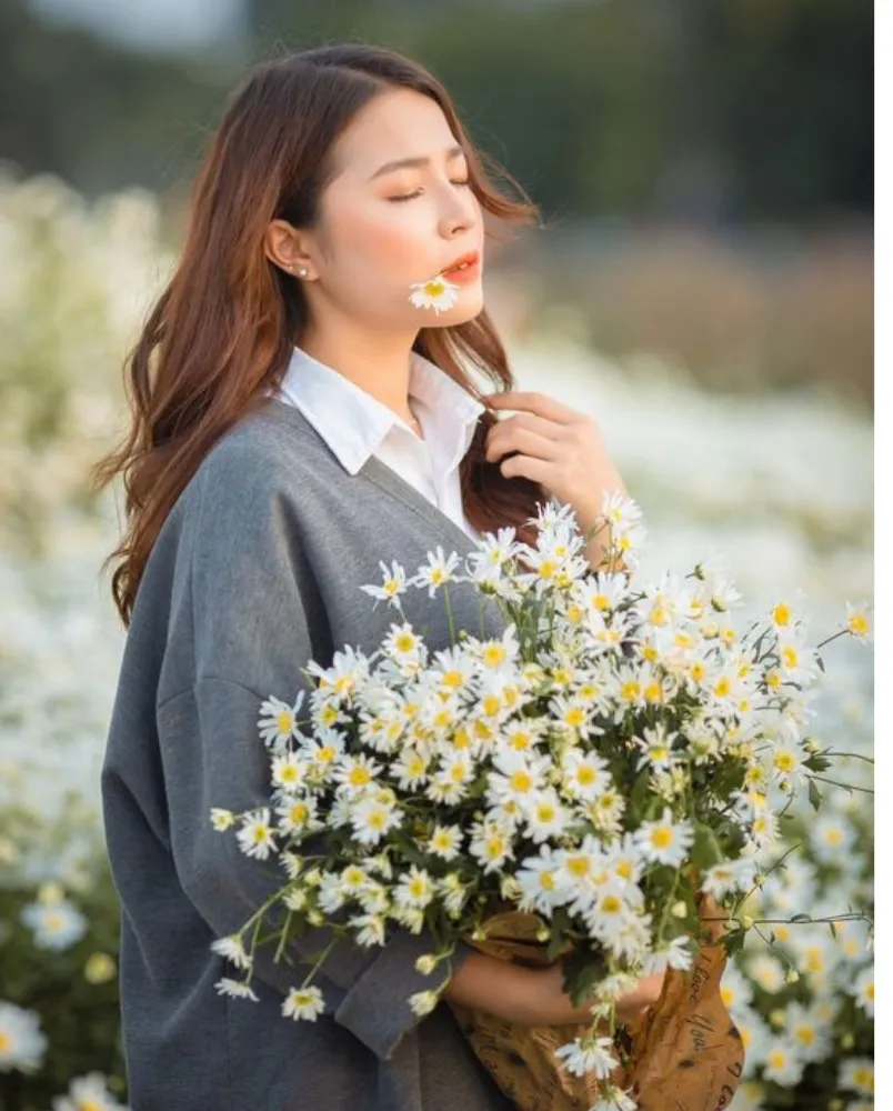 Chụp ảnh với cúc họa mi mặc gì? Gợi ý 19+ outfit vô cùng đẹp