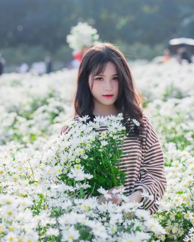 Chụp ảnh với cúc họa mi mặc gì? Gợi ý 19+ outfit vô cùng đẹp