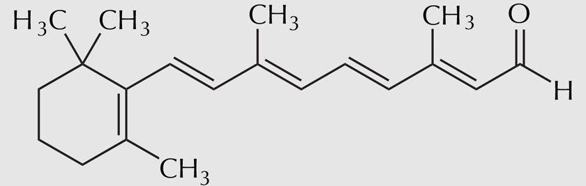 Retinaldehyde là gì? Những lợi ích của Retinaldehyde với làn da - 1