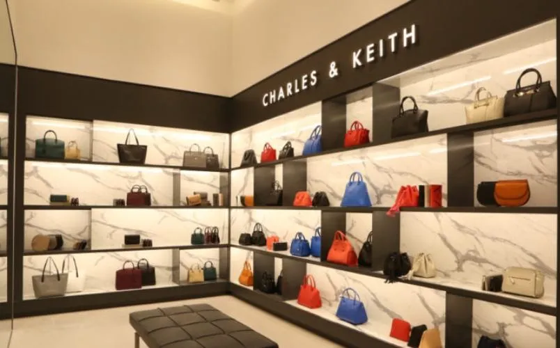 5 mẫu túi hộp vuông Charles & Keith chính hãng vô cùng đẹp