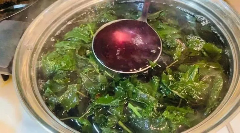 11 cách làm trắng da bằng lá tía tô hiệu quả