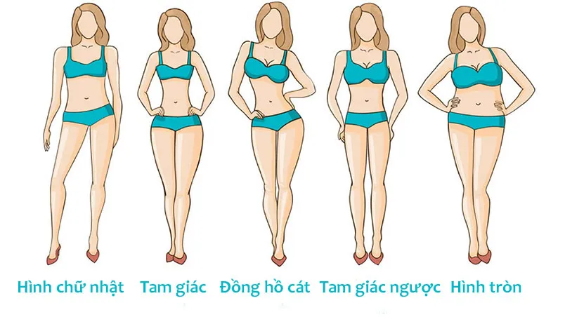 12 các kiểu dáng người cơ bản và cách xác định