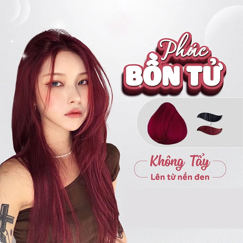 Bảng màu tóc nhuộm không cần tẩy thịnh hành cho nam nữ