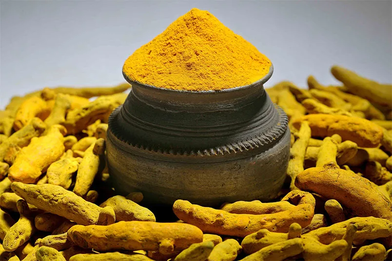 Curcuma Longa Root Extract là gì trong mỹ phẩm? Tác dụng gì? - 1