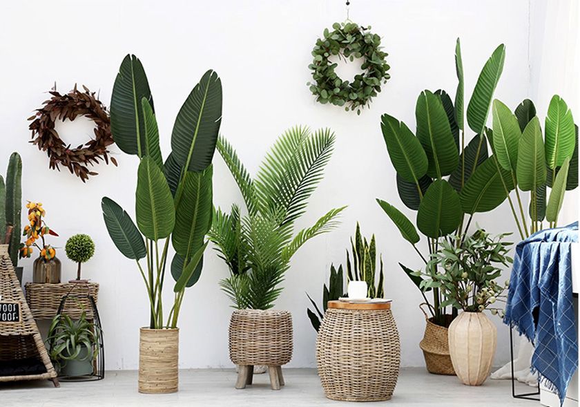 Top 30 quà tặng 20/11 tặng mẹ ý nghĩa và rất đáng nhớ  - 6