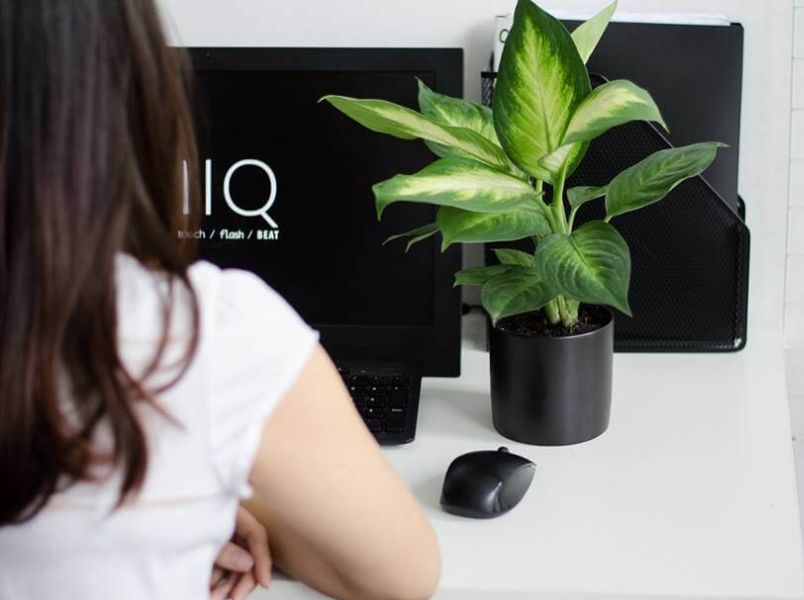 Top 12 món quà 20/10 cho đồng nghiệp nữ, nhân viên nữ ý nghĩa