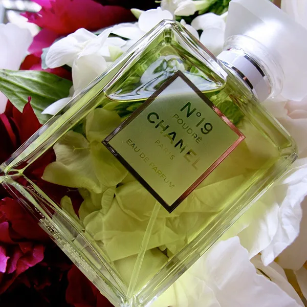 Nước Hoa Nữ Chanel No.19 Poudre EDP 100ml - Nước hoa - Vua Hàng Hiệu