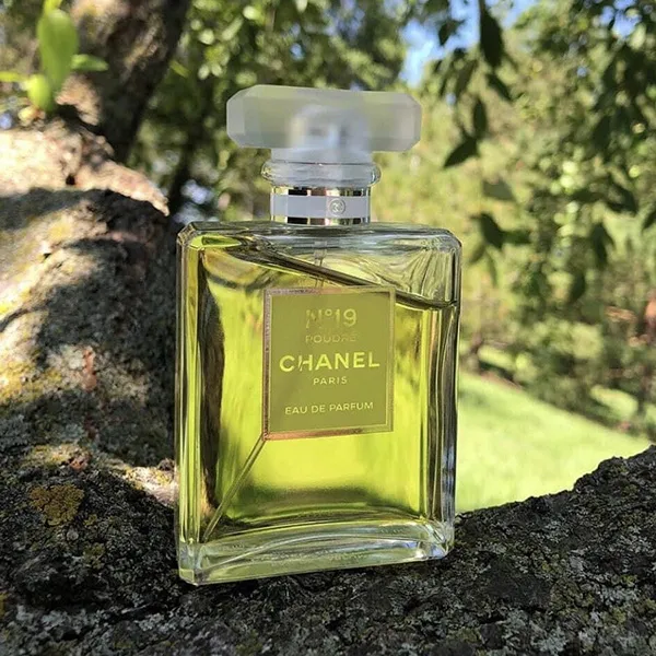 Nước Hoa Nữ Chanel No.19 Poudre EDP 100ml - Nước hoa - Vua Hàng Hiệu