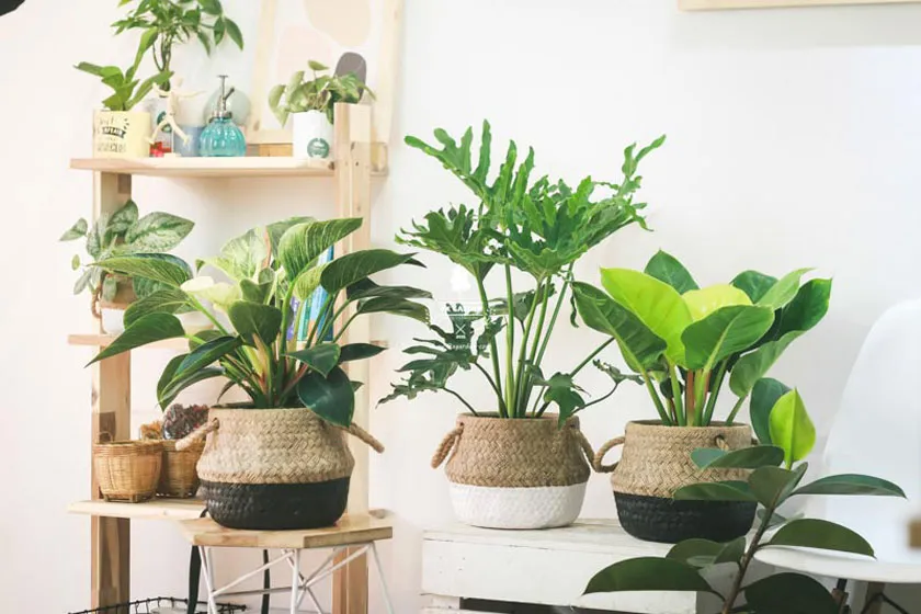 27 gợi ý quà tặng chia tay đồng nghiệp độc đáo khó quên
