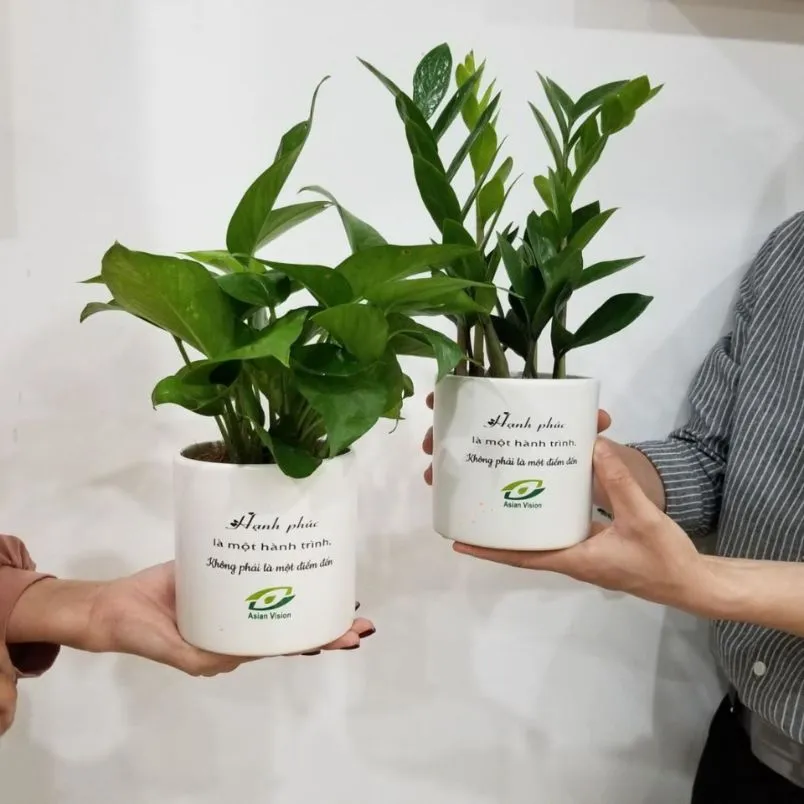 Top 15 quà tặng cho giáo viên về hưu ý nghĩa, ấn tượng - 19