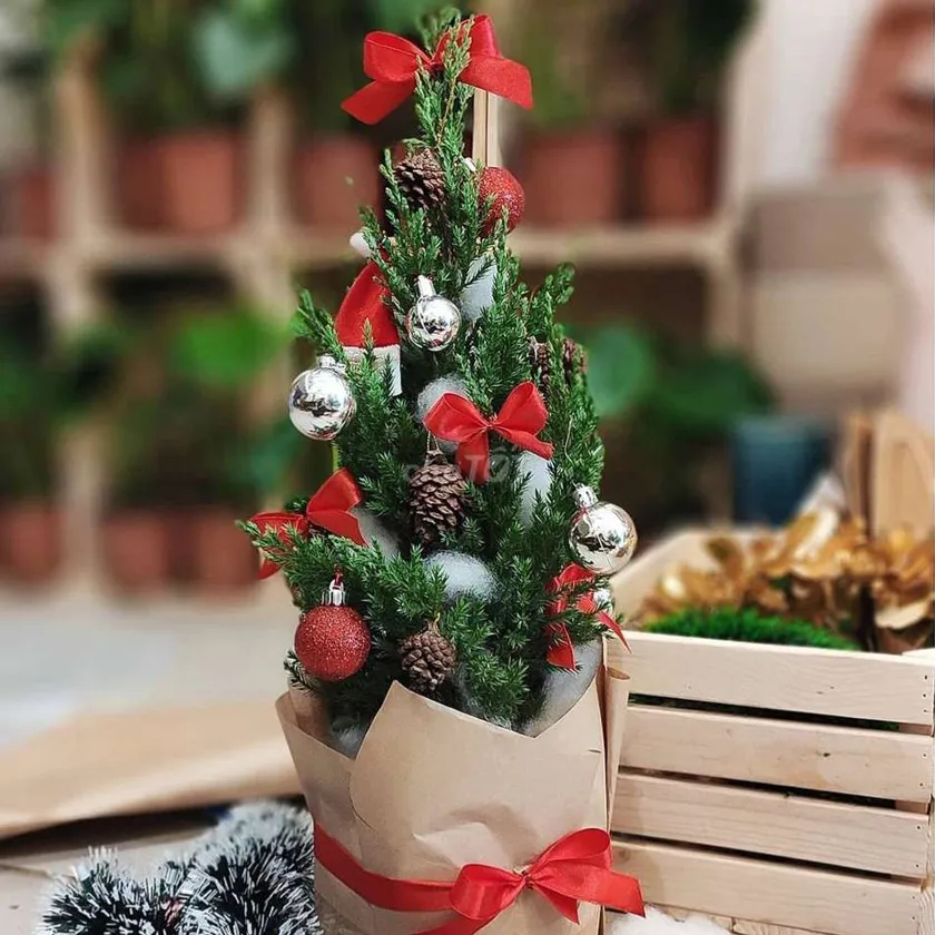 Top 33 món quà tặng Giáng Sinh cho bạn trai tạo bất ngờ thú vị - 25