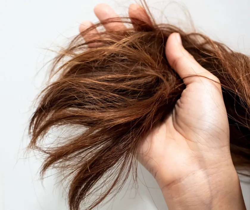 Nguyên nhân gây khô tóc