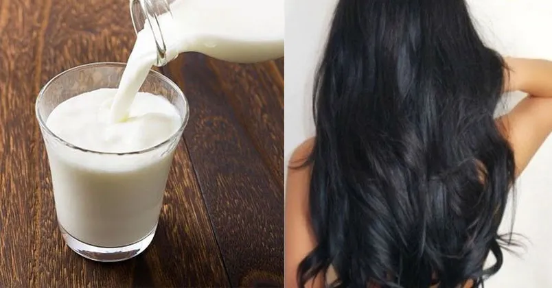 7 Cách chăm sóc tóc bông xù hiệu quả mà bạn nên lưu ngay!