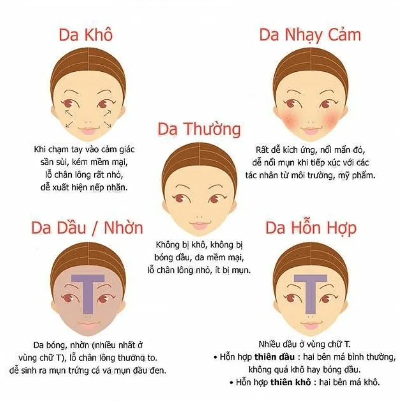 Hướng dẫn cách phân biệt các loại da cơ bản