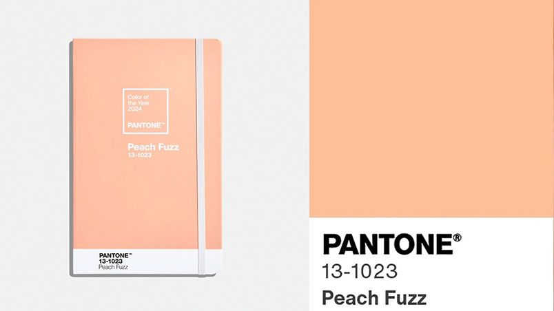 Màu chủ đạo của năm 2024: Peach Fuzz - Gợi ý cách phối đồ