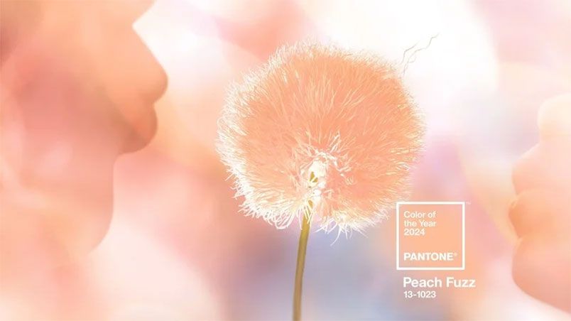 Màu chủ đạo của năm 2024: Peach Fuzz - Gợi ý cách phối đồ