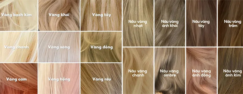 Top 21+ màu tóc nâu vàng đẹp, xu hướng năm 2025