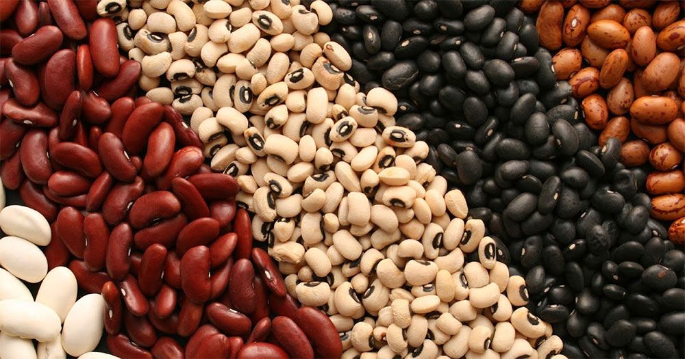 12 mẹo giảm cân sau Tết nhanh chóng, thân thiện với làn da và hiệu quả  - 14