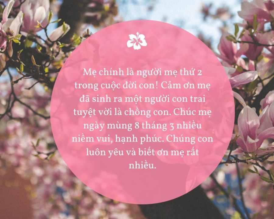 Top 50 lời chúc 8/3 cho mẹ ý nghĩa và rất hay để bày tỏ tình cảm