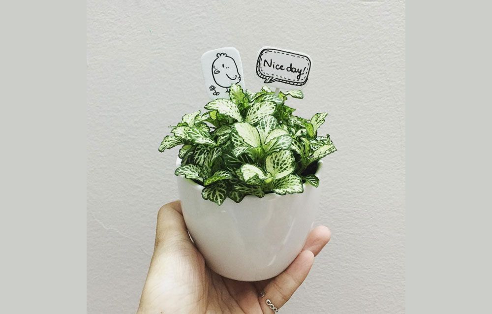 Top 11 món quà tặng 8/3 cho crush độc đáo, rất ý nghĩa