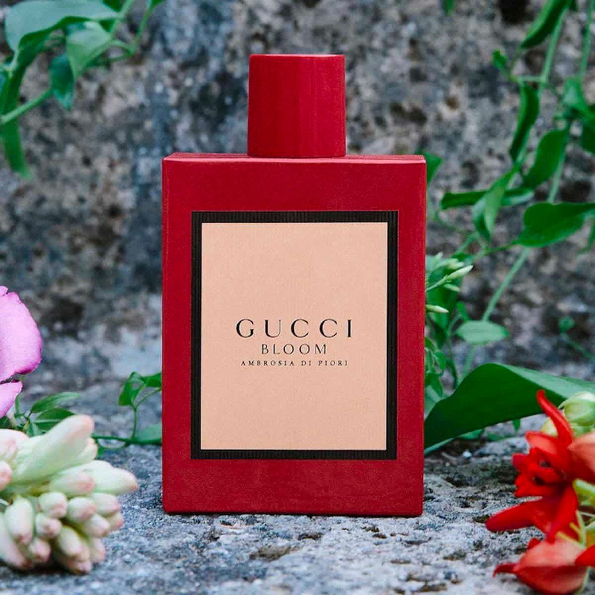 So sánh nước hoa Gucci Bloom đỏ và hồng: Nên mua loại nào? - 4
