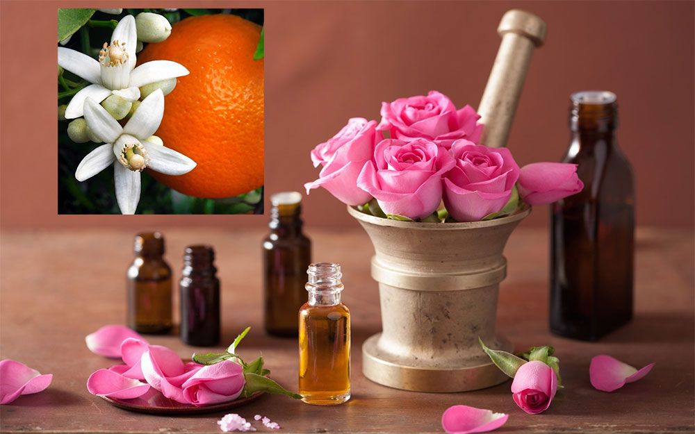 5 công thức mặt nạ tinh dầu giúp bạn cải thiện khuyết điểm làn da  - 2