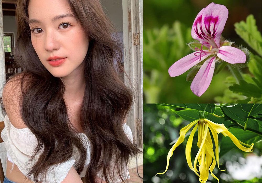 5 công thức mặt nạ tinh dầu giúp bạn cải thiện khuyết điểm làn da  - 5