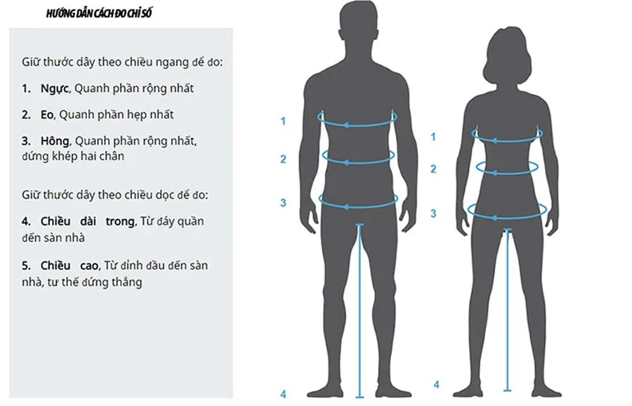 Hướng dẫn cách chọn size áo MLB uy tín cho nam và nữ