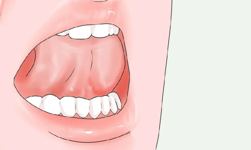 Bí quyết giúp sống mũi cao tự nhiên nhờ phương pháp Mewing  - 1