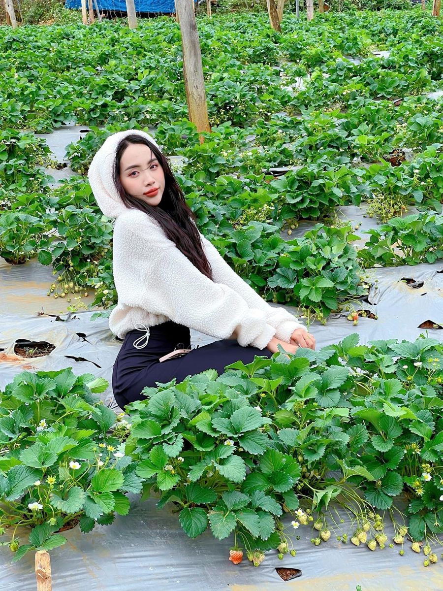 Đi Mộc Châu mặc gì? Gợi ý các outfit 