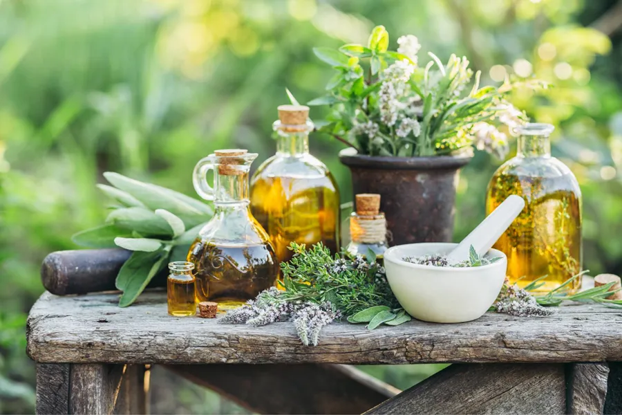 Tại sao bạn nên dùng dầu gội thảo dược cho mái tóc khô xơ?