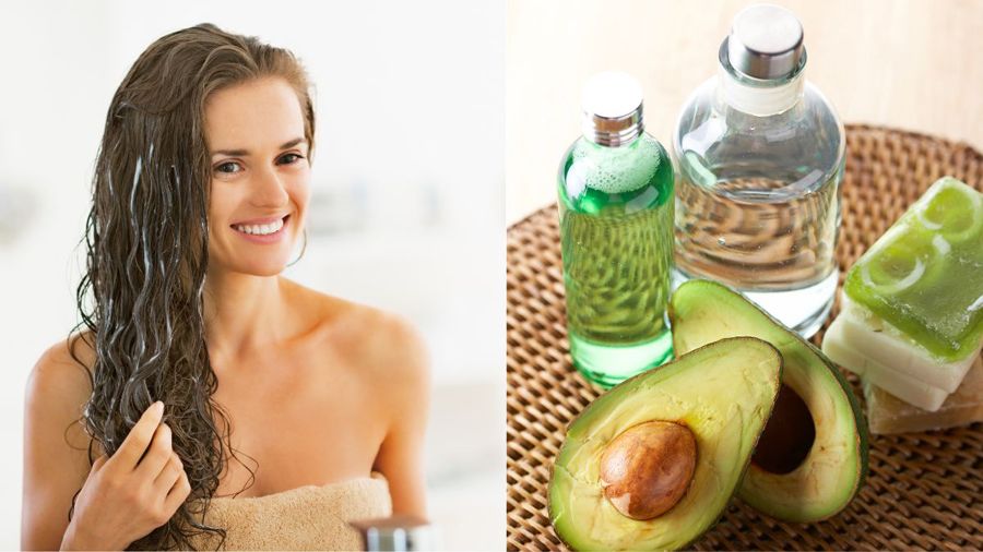 Tại sao bạn nên dùng dầu gội thảo dược cho mái tóc khô xơ?