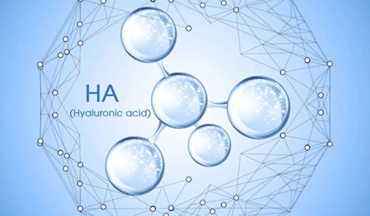 Top 5 hoạt chất dưỡng ẩm giúp da căng mịn mềm mướt - 2