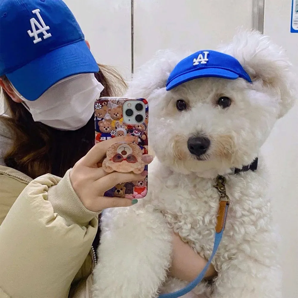 Top 9 mẫu mũ cho thú cưng mà các 