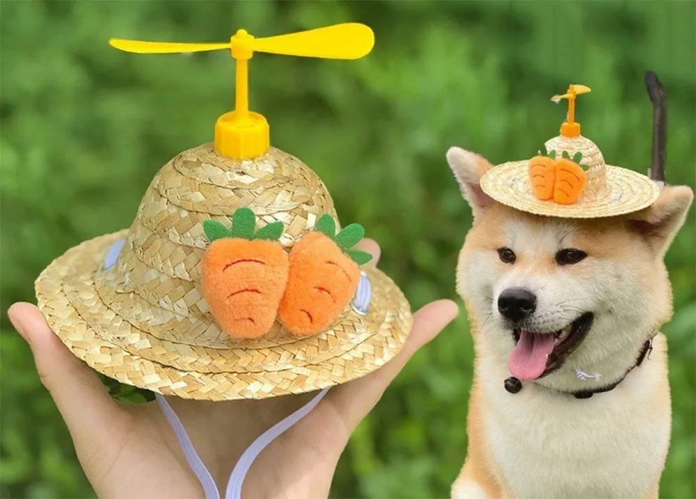 Top 9 mẫu mũ cho thú cưng mà các 