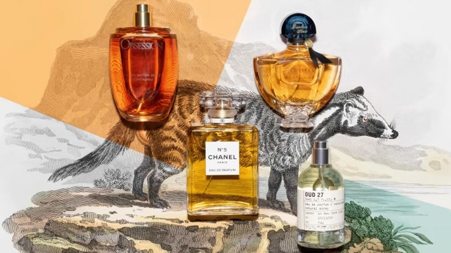 Những thành phần trong nước hoa có nguồn gốc từ động vật gây tranh cãi