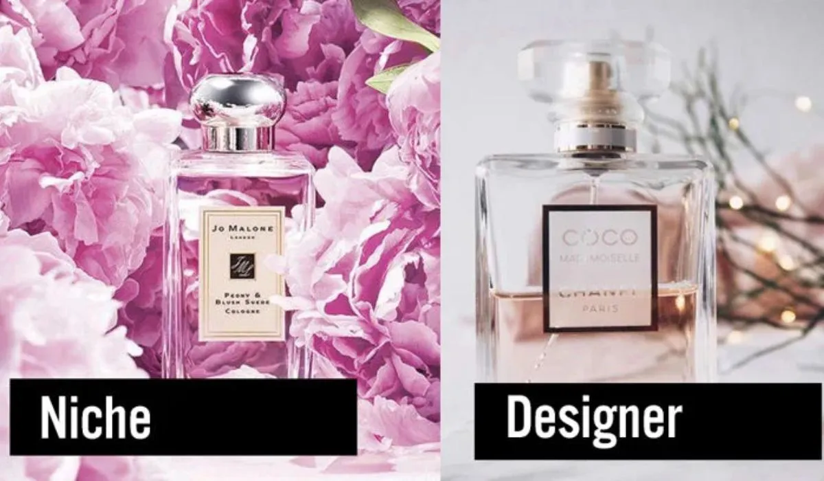 So sánh nước hoa Niche và Designer? Nên mua loại nào?