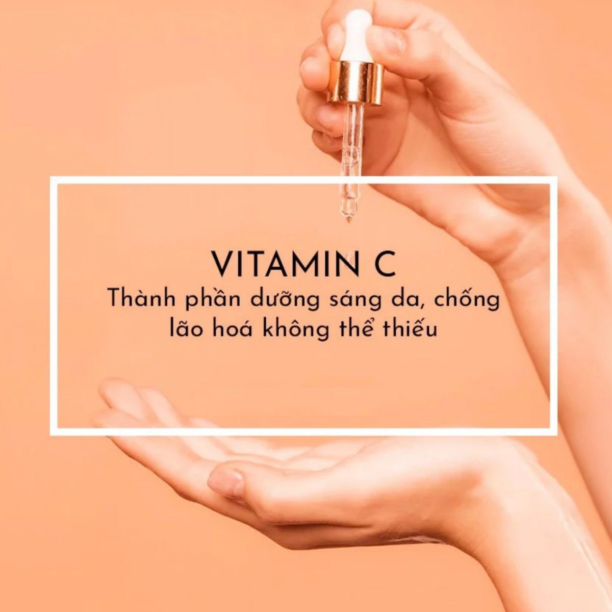 Thành phần kết hợp cùng vitamin C giúp tăng hiệu quả chống già, ngừa sạm nám - 2