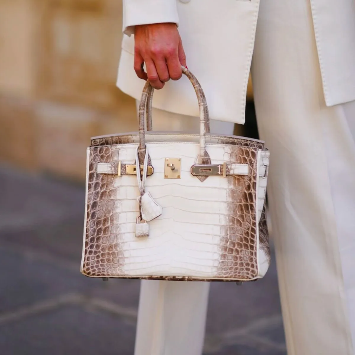 Lý giải tại sao dòng túi Hermes Birkin đắt đỏ và rất khó mua