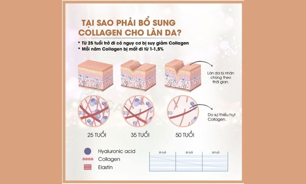 6 thói quen đơn giản giúp ngăn ngừa sự suy giảm Collagen - 2