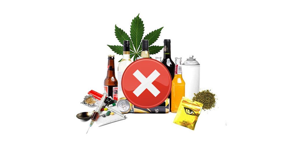 6 thói quen đơn giản giúp ngăn ngừa sự suy giảm Collagen - 14